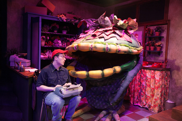 Photo Flash: First Look at LITTLE SHOP OF HORRORS at American Blues Theater Image