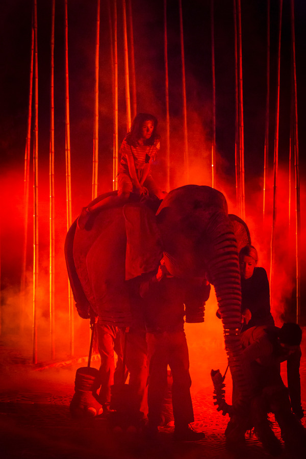 Photo Flash: Welcome to the Jungle! First Look at RUNNING WILD at Regent's Park Open Air Theatre Image