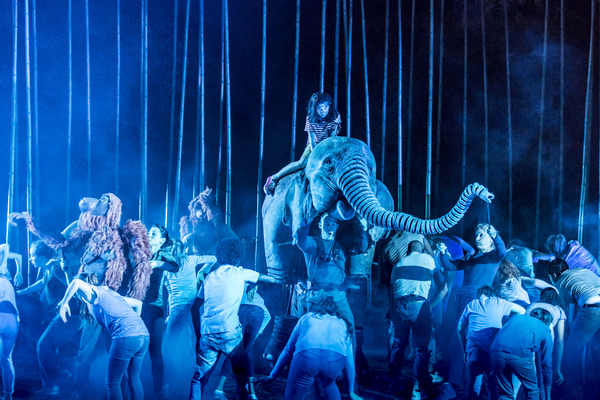 Photo Flash: Welcome to the Jungle! First Look at RUNNING WILD at Regent's Park Open Air Theatre Image