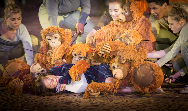 Photo Flash: Welcome to the Jungle! First Look at RUNNING WILD at Regent's Park Open Air Theatre Image