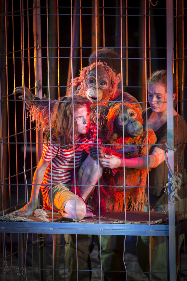 Photo Flash: Welcome to the Jungle! First Look at RUNNING WILD at Regent's Park Open Air Theatre Image
