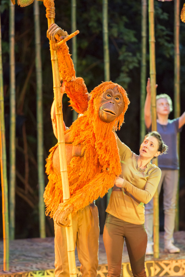 Photo Flash: Welcome to the Jungle! First Look at RUNNING WILD at Regent's Park Open Air Theatre 