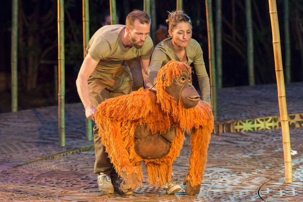 Photo Flash: Welcome to the Jungle! First Look at RUNNING WILD at Regent's Park Open Air Theatre Image