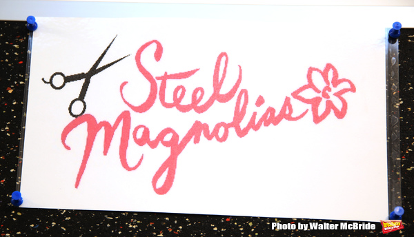 Photo Coverage: Bucks County Playhouse's STEEL MAGNOLIAS Cast Meets the Press! Image