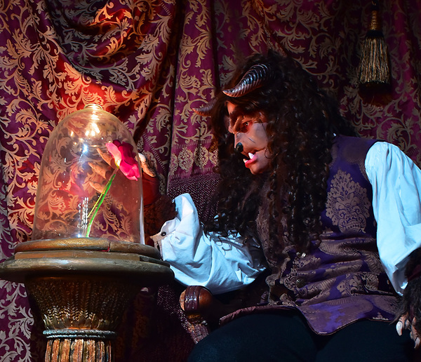 Photo Flash: First Look at Disney's BEAUTY AND THE BEAST at Beef & Boards Dinner Theatre 
