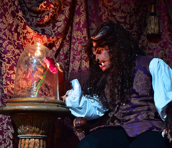 Photo Flash: First Look at Disney's BEAUTY AND THE BEAST at Beef & Boards Dinner Theatre Image