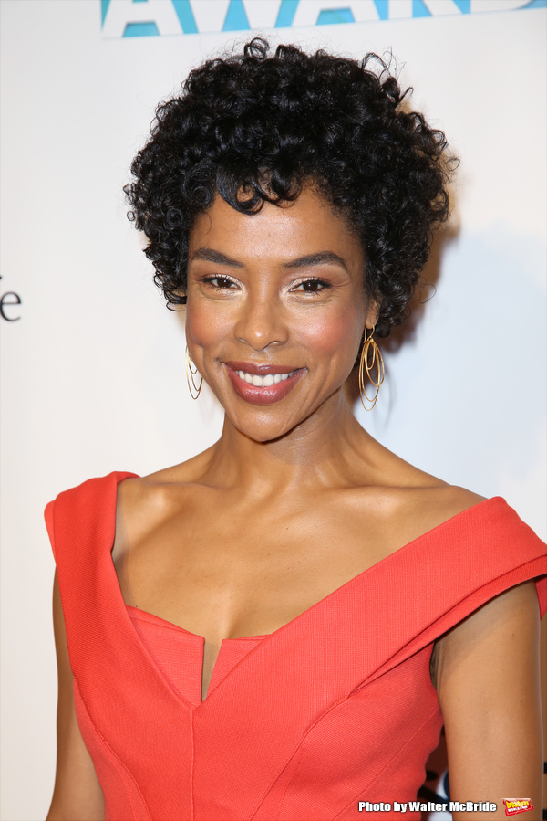 Photo Coverage: On the Red Carpet at the 2016 Drama League Awards Image
