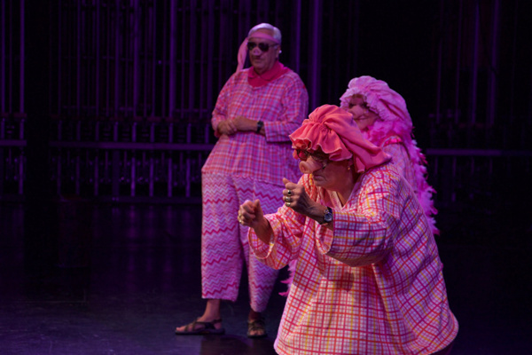 Photo Flash: Manatee Performing Arts Center & Early Learning Coalition Present CRACKED FAIRY TALES Image