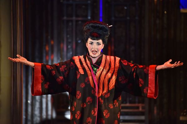 Photo Flash: First Look at THOROUGHLY MODERN MILLIE at the John W. Engeman Theater 