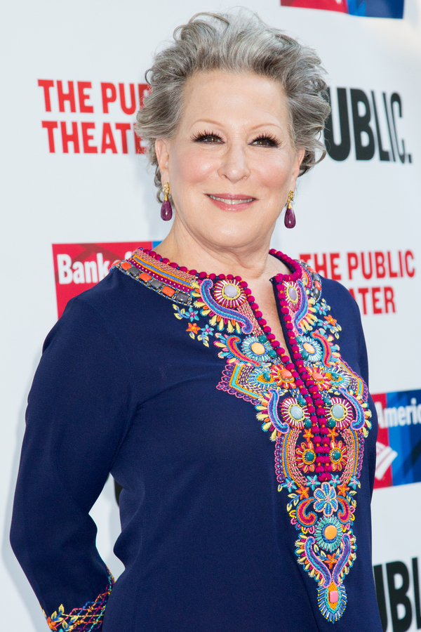 Photo Coverage: Meryl Streep, Christine Baranski, Kevin Kline & More Return to the Public for THE UNITED STATES OF SHAKESPEARE! Image