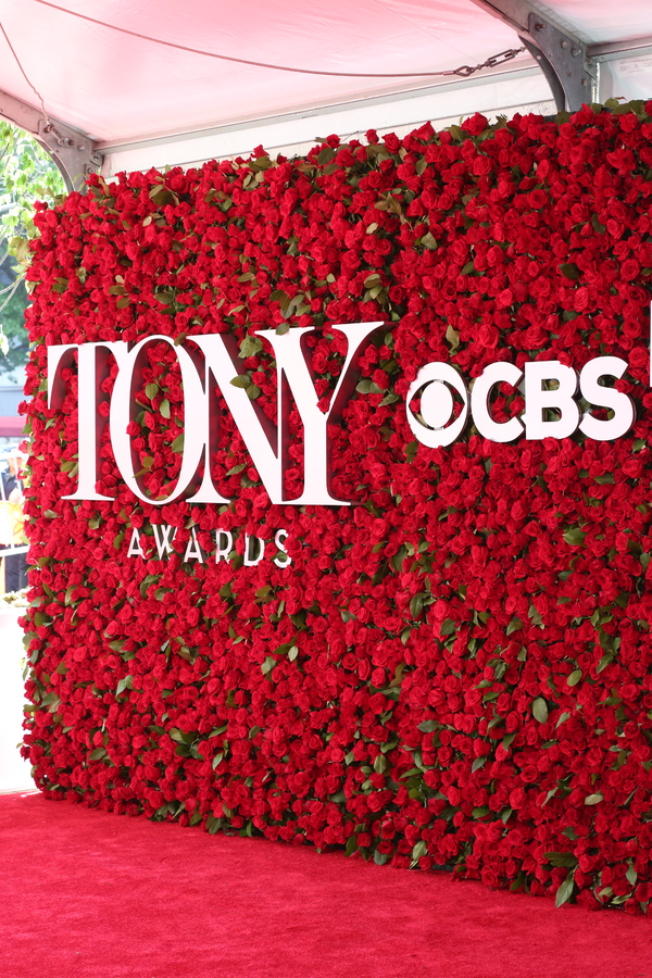 Photo Coverage: 2016 Tony Awards Red Carpet Arrivals - Part 1 