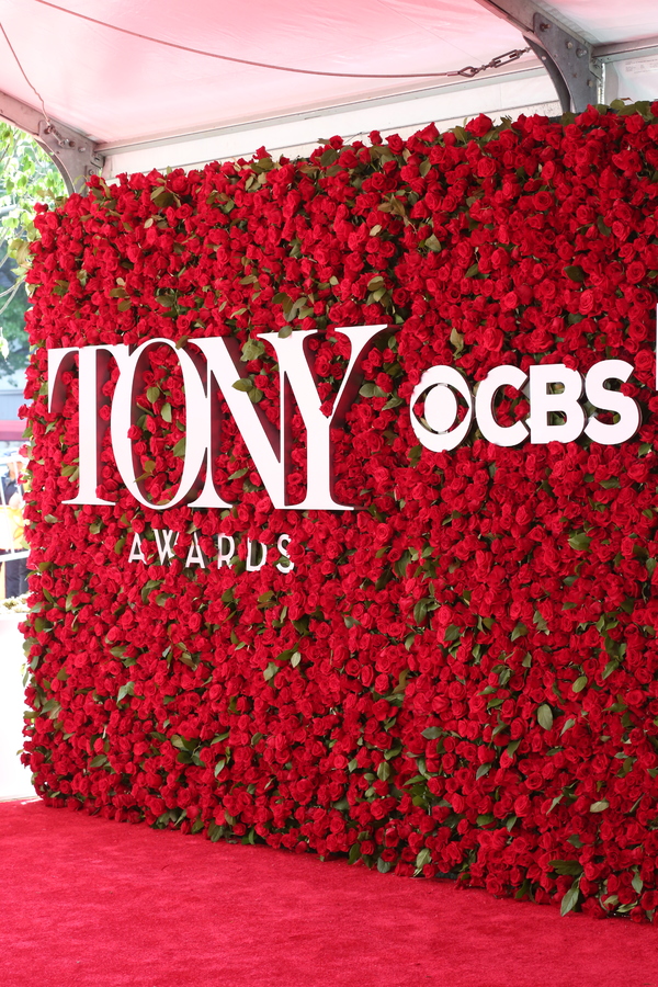 Photo Coverage: 2016 Tony Awards Red Carpet Arrivals - Part 1 Image