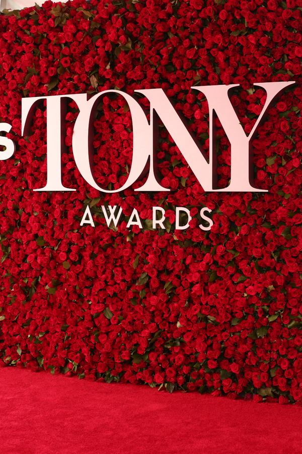 Photo Coverage: 2016 Tony Awards Red Carpet Arrivals - Part 1 Image