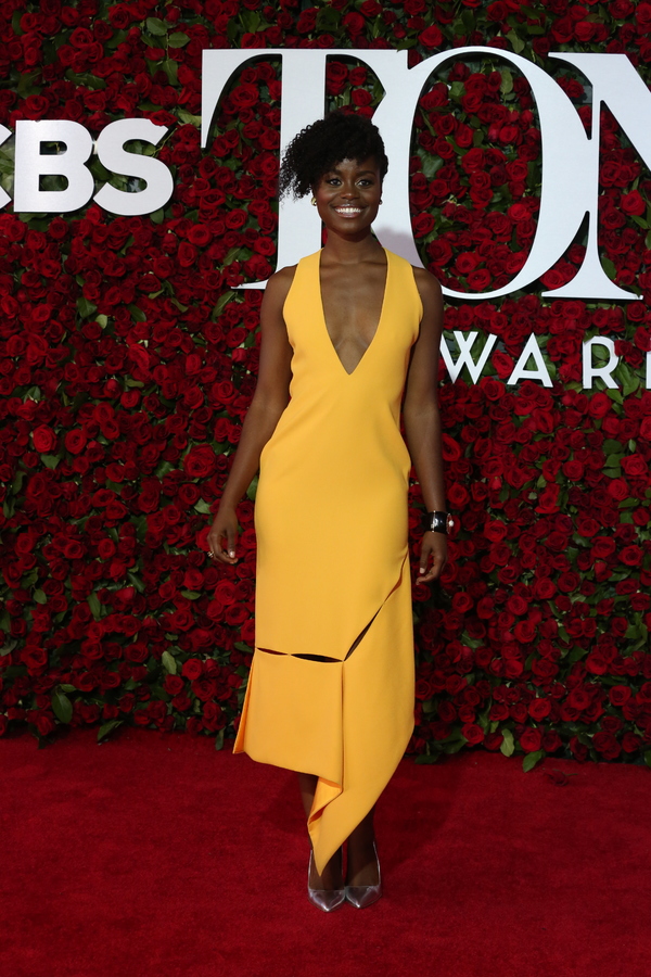 Photo Coverage: 2016 Tony Awards Red Carpet Arrivals - Part 1 Image