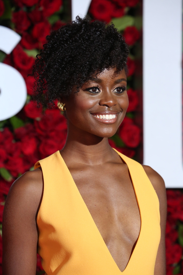 Photo Coverage: 2016 Tony Awards Red Carpet Arrivals - Part 1 Image