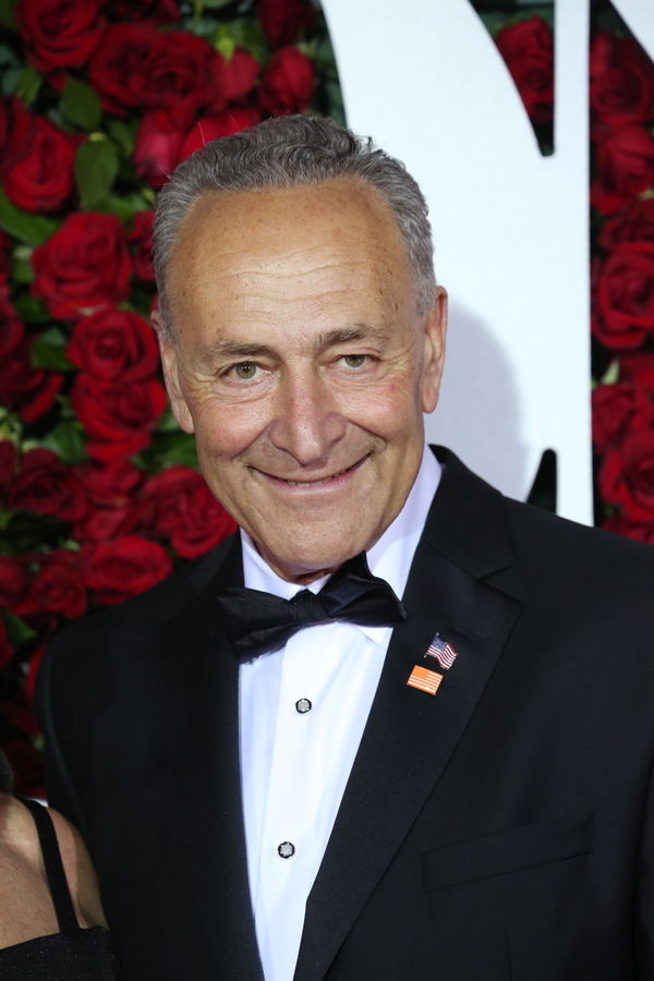 Photo Coverage: 2016 Tony Awards Red Carpet Arrivals - Part 3 Image