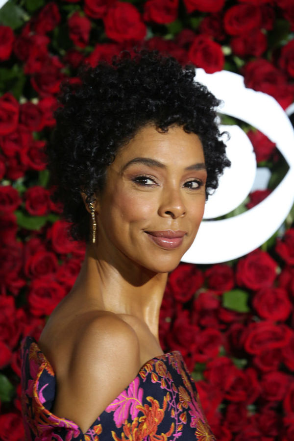 Photo Coverage: 2016 Tony Awards Red Carpet Arrivals - Part 4 Image
