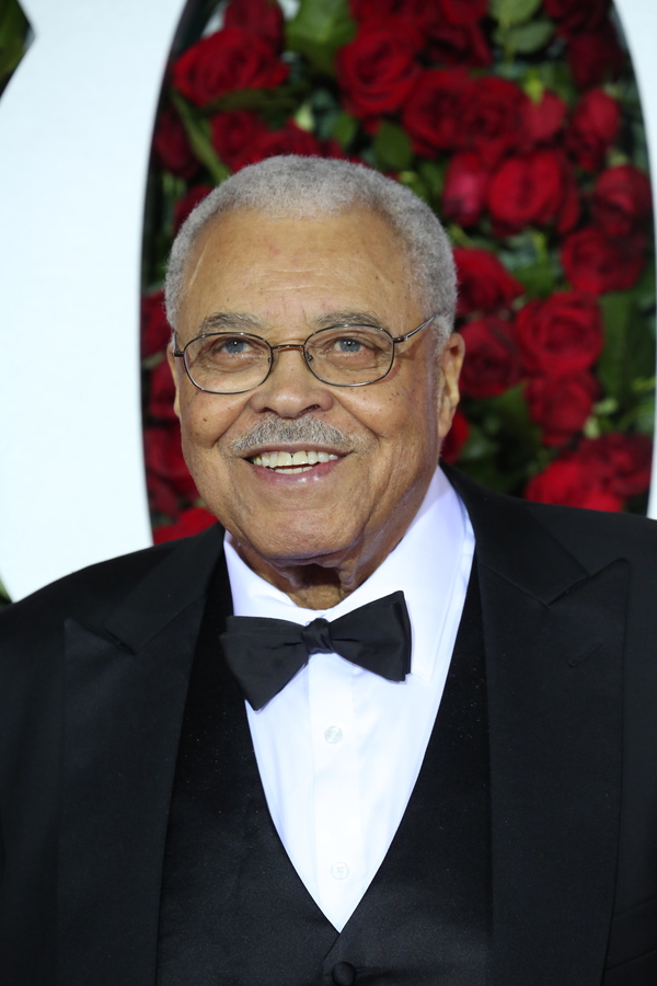 Photo Coverage: 2016 Tony Awards Red Carpet Arrivals - Part 5 Image