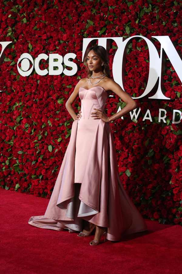 Photo Coverage: 2016 Tony Awards Red Carpet Arrivals - Part 5 Image