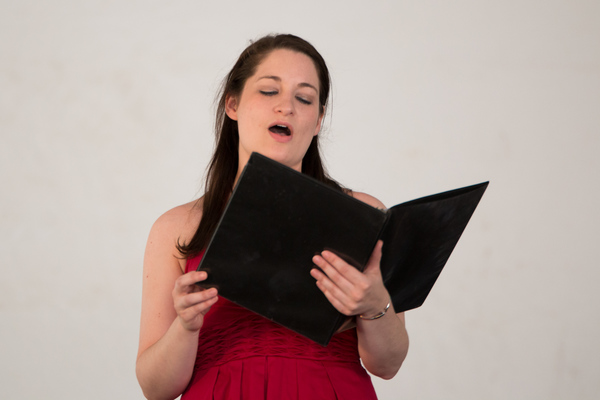 Photo Coverage: Inside the 2016 Columbus Arts Festival with 4 Local Theatres Image
