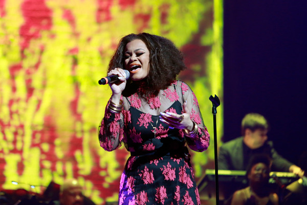 Photo Flash: Apollo Theater Hosts Spring Gala, Featuring LL Cool J, Prince Tribute & More Image