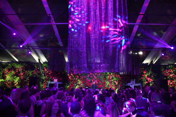 Photo Flash: Apollo Theater Hosts Spring Gala, Featuring LL Cool J, Prince Tribute & More Image