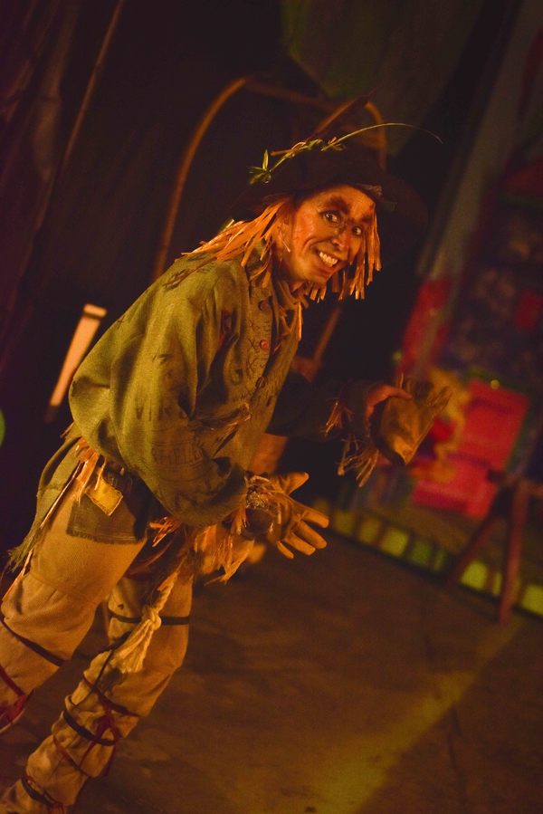 Photo Flash: Follow the Yellow Brick Road Backstage to THE WIZARD OF OZ at The Muny Image