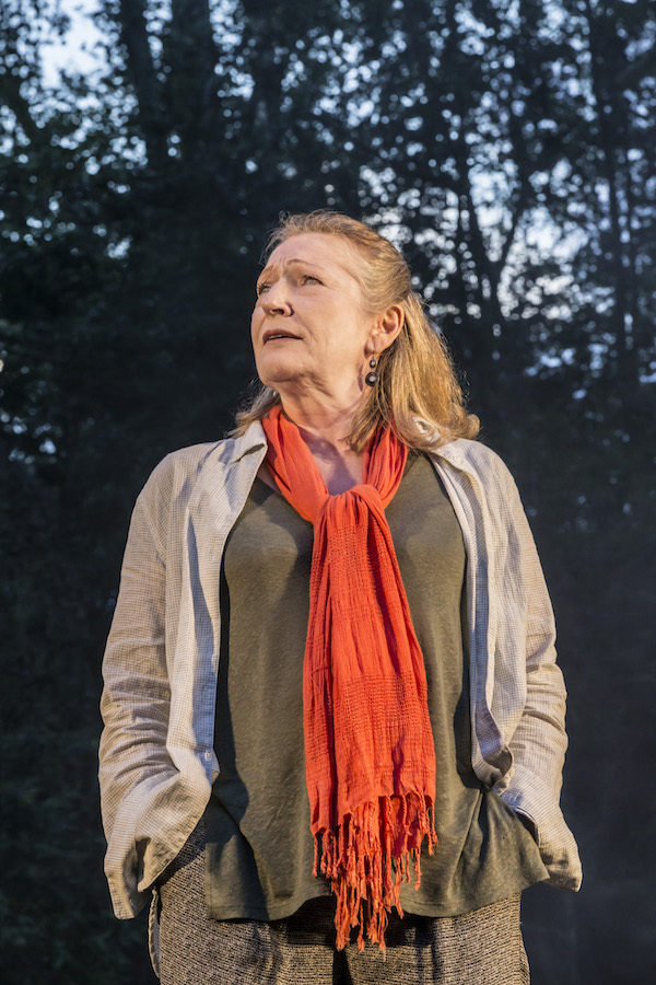 Photo Flash: First Look at HENRY V at Regent's Park Open Air 