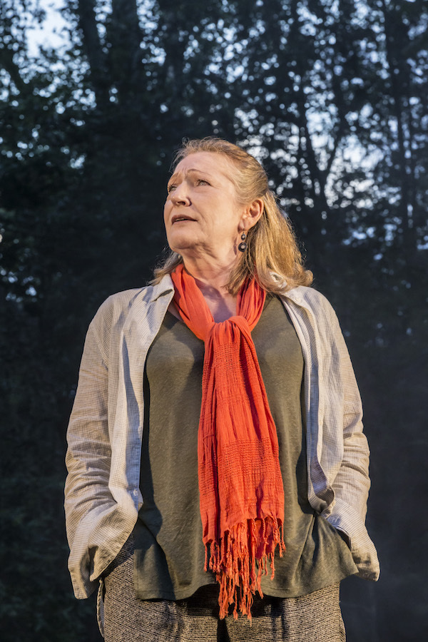 Photo Flash: First Look at HENRY V at Regent's Park Open Air Image