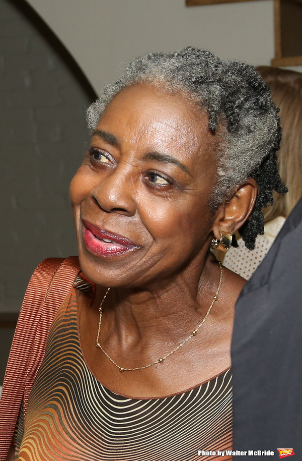 Photo Coverage: Vineyard Theatre Celebrates Lee Sunday Evans at Emerging Artists Luncheon Image