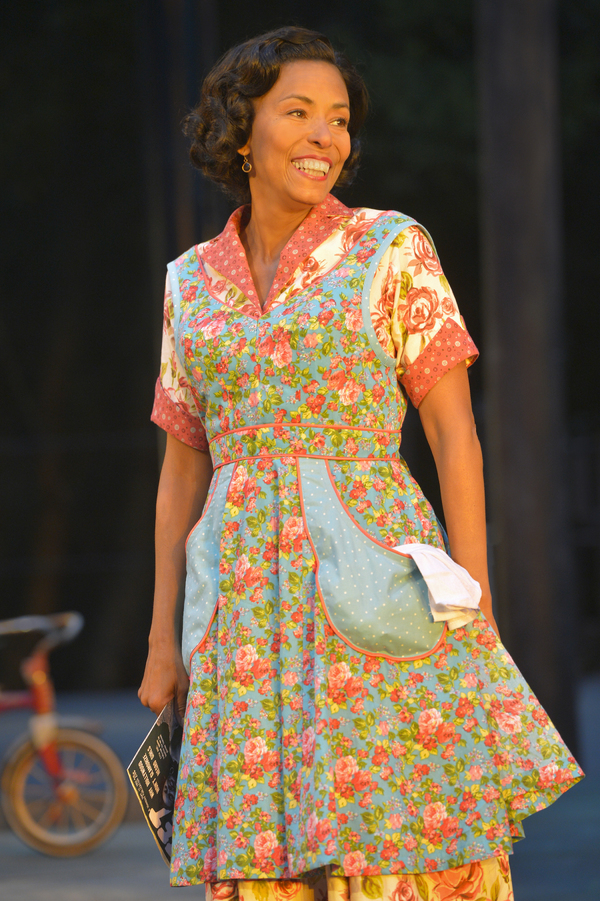 Photo Flash: First Look at Cal Shakes' FENCES Image