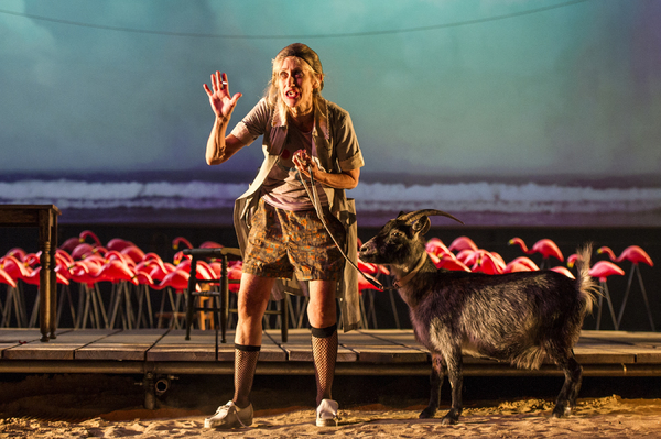 Photo Flash: First Look at Marisa Tomei, Christopher Abbott & More in THE ROSE TATTOO at Williamstown Theatre Festival  Image