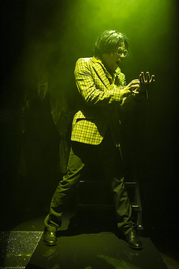 Photo Flash: THE STRIPPER Opens at St James Theatre Image