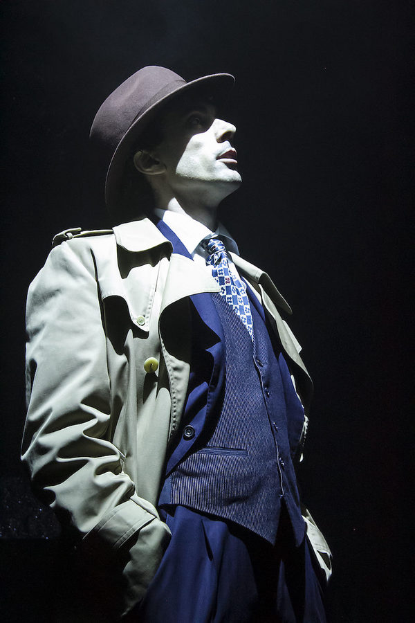 Photo Flash: THE STRIPPER Opens at St James Theatre Image
