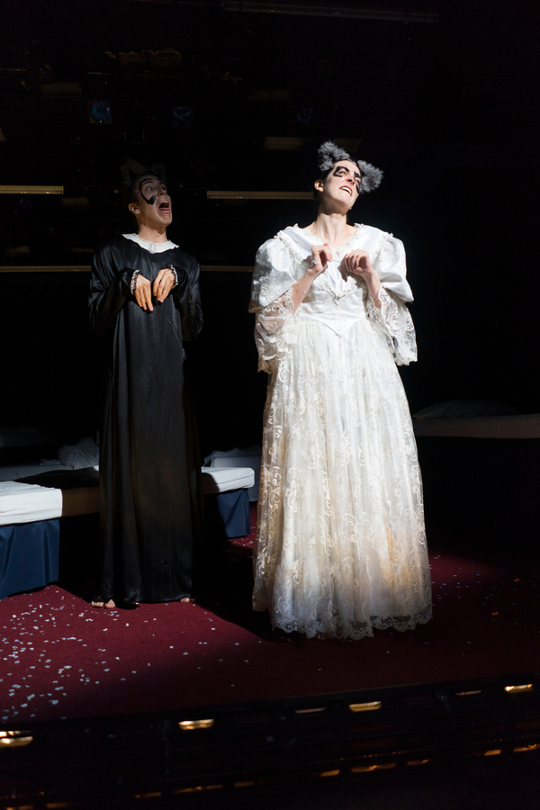 Photo Flash: First Look at THE ANNOTATED HISTORY OF THE AMERICAN MUSKRAT at Ice Factory Festival Image