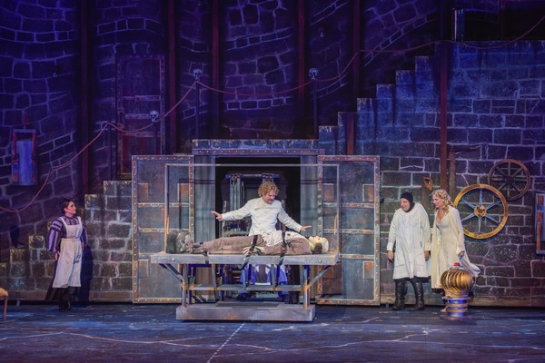 Photo Flash: First Look at Robert Petkoff, Stephanie Gibson, Steve Rosen and More in YOUNG FRANKENSTEIN at The Muny Image