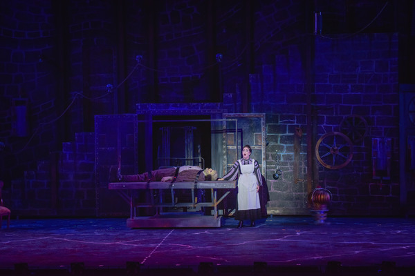 Photo Flash: First Look at Robert Petkoff, Stephanie Gibson, Steve Rosen and More in YOUNG FRANKENSTEIN at The Muny Image