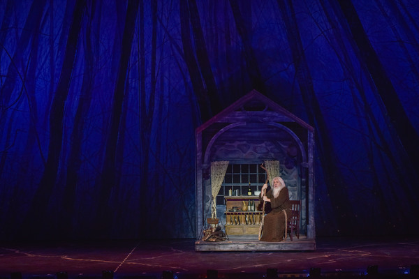 Photo Flash: First Look at Robert Petkoff, Stephanie Gibson, Steve Rosen and More in YOUNG FRANKENSTEIN at The Muny Image