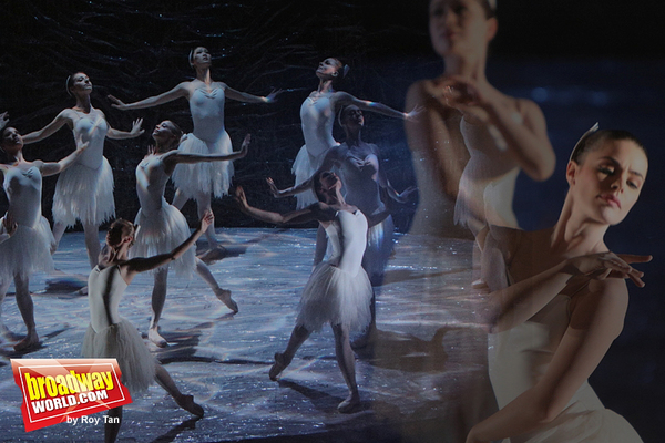 Photo Coverage: The Australian Ballet's SWAN LAKE Graces the Stage at ENO Image