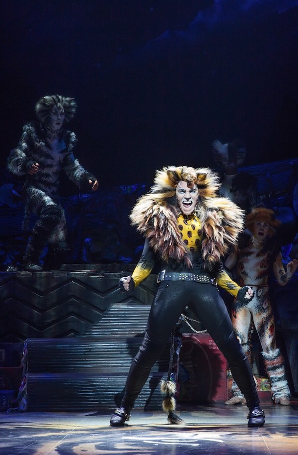 Cats Production Photo