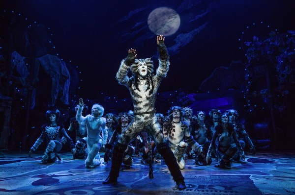 Cats Production Photo 