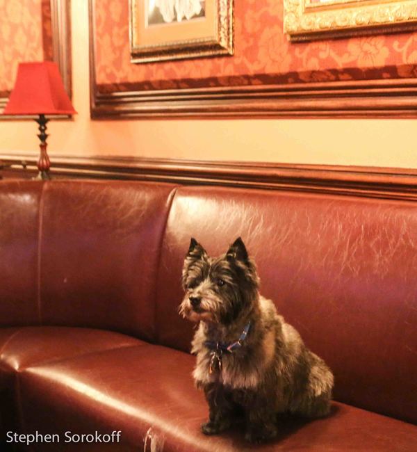 Photo Coverage: Feinstein's/54 Below's Lynn Bound & Amy's Bread Create New Sandwich To Benefit Broadway Barks Image