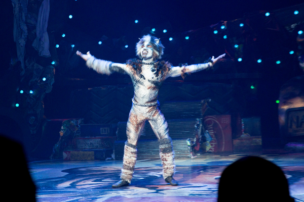 Photo Coverage: A Very Jellicle Opening Night- CATS Takes First Bows!  Image