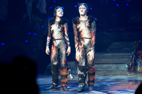 Photo Coverage: A Very Jellicle Opening Night- CATS Takes First Bows!  Image