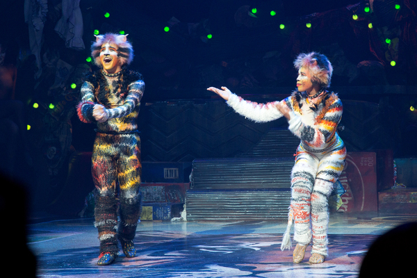 Photo Coverage: A Very Jellicle Opening Night- CATS Takes First Bows!  Image