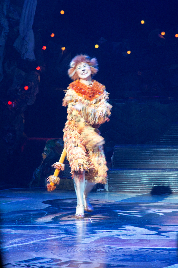 Photo Coverage: A Very Jellicle Opening Night- CATS Takes First Bows!  Image