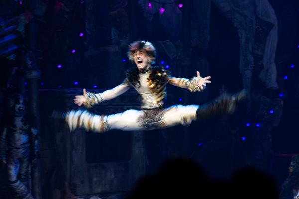 Photo Coverage: A Very Jellicle Opening Night- CATS Takes First Bows!  Image