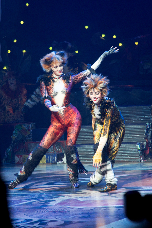 Photo Coverage: A Very Jellicle Opening Night- CATS Takes First Bows!  Image