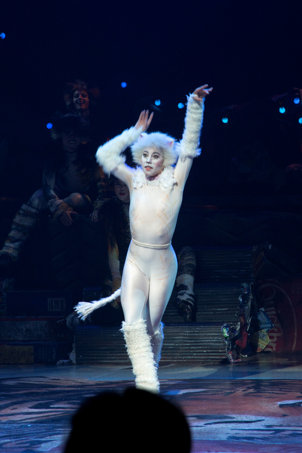 Photo Coverage: A Very Jellicle Opening Night- CATS Takes First Bows!  Image
