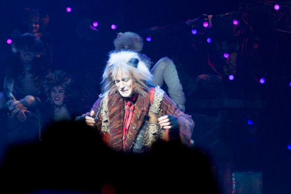 Photo Coverage: A Very Jellicle Opening Night- CATS Takes First Bows!  Image